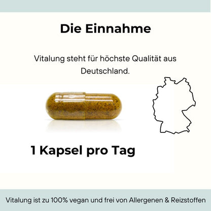 Rabattaktion Gesund im Alter Magazin - VitalungExtra - Mit Cordyceps aus der TCM und wertvollen Vitaminen - 4er Sortierung